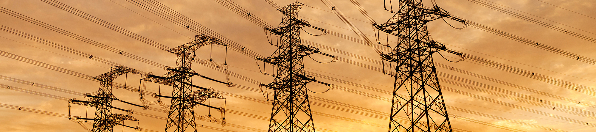 Industry Specialisations