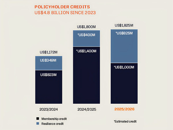 Annual report financial chart 3