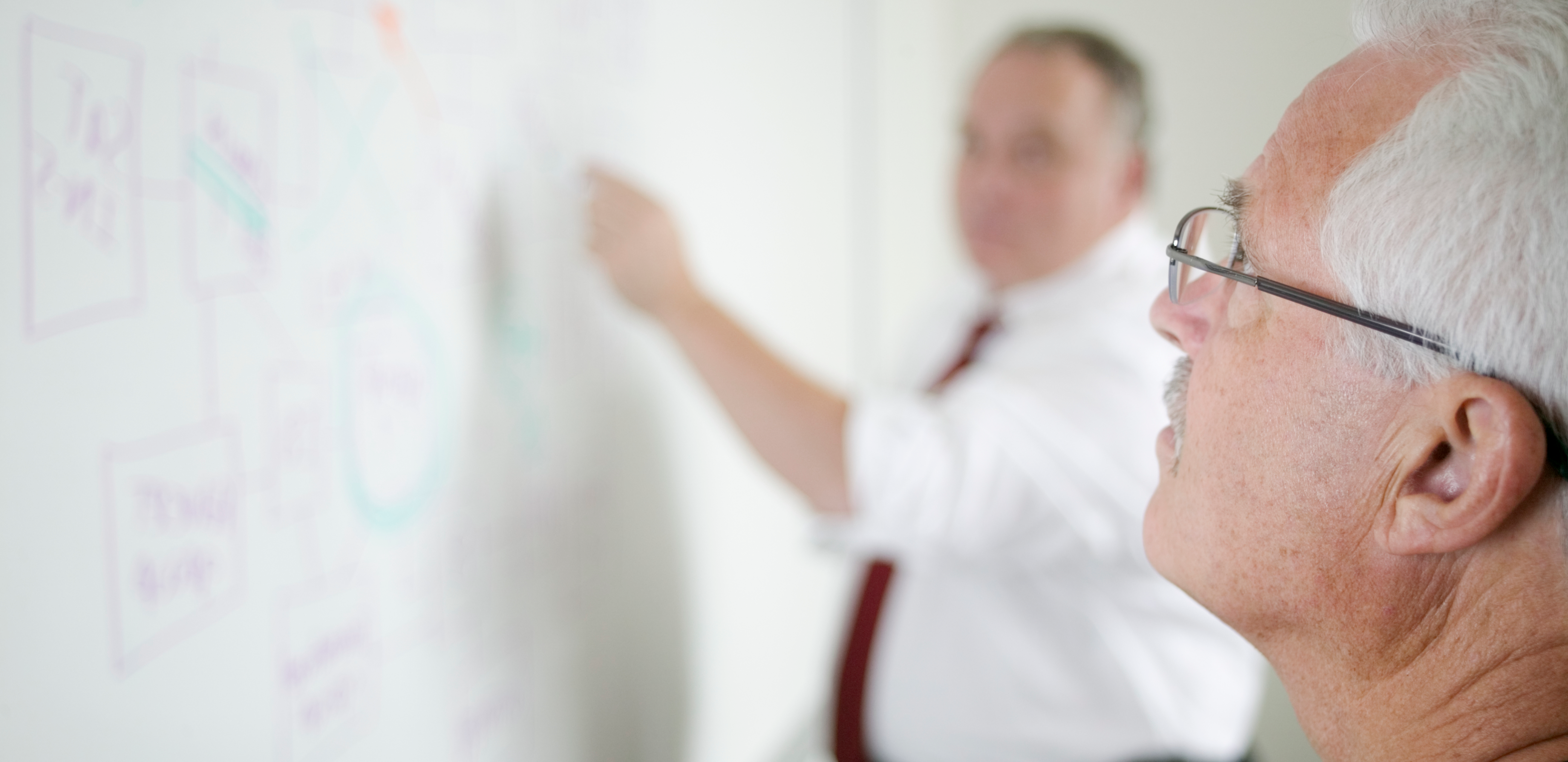 Business Risk Consulting