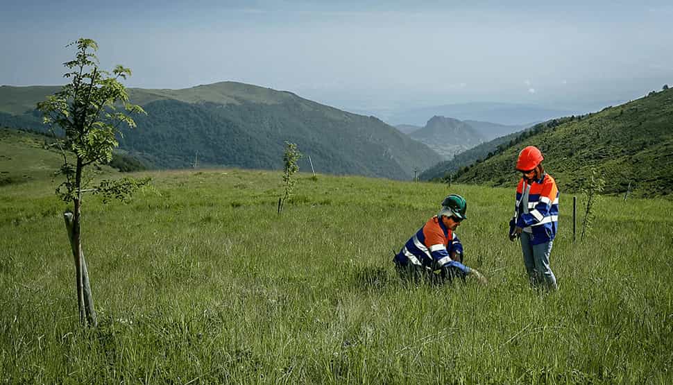 Engineers in a field