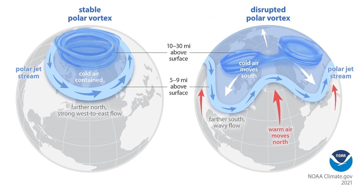 Polar Vortex