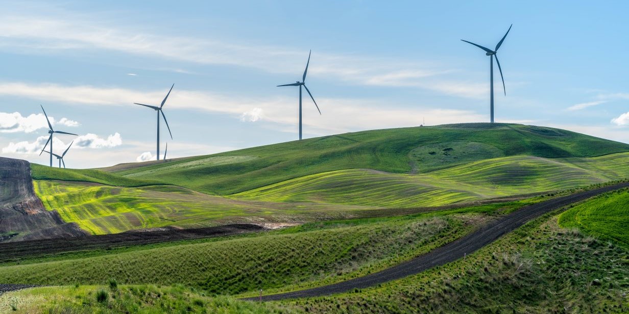 Wind turbines on a rolling hill.