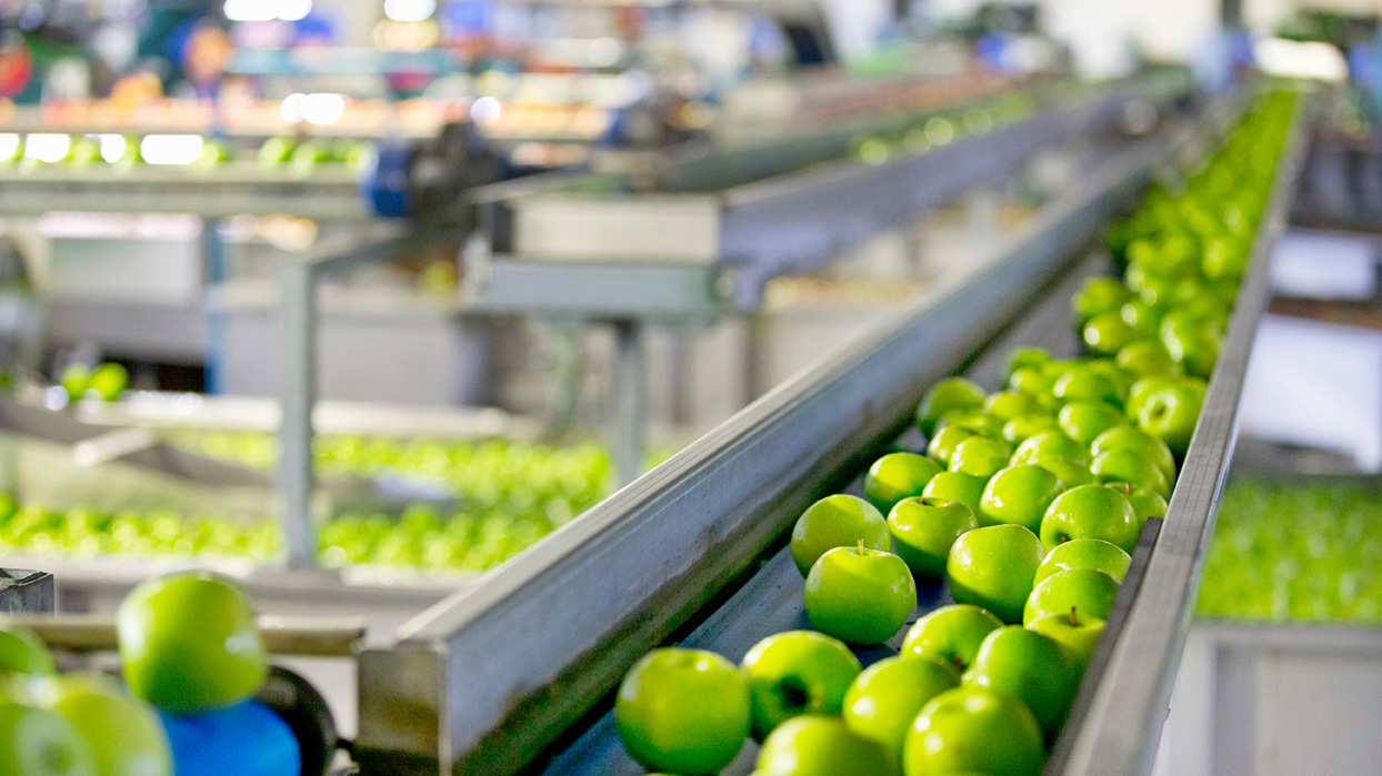 green apples factory