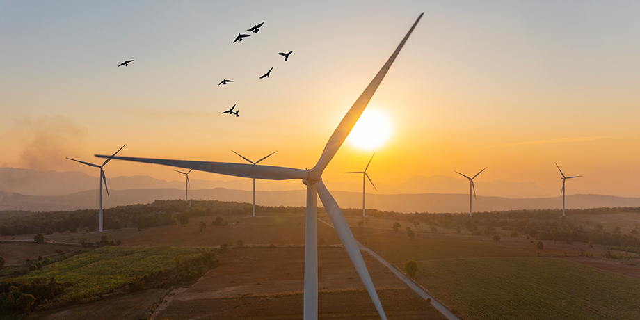 windmill panels